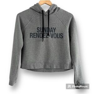 Aritzia Sunday Best Hooded Cotton Sweatshirt Crop Gray Size XXS